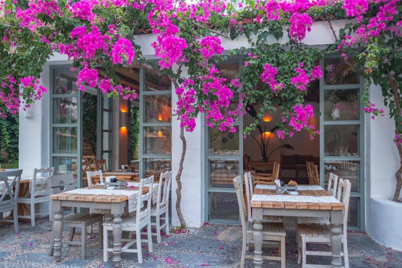 Flamingo Hotel & Spa - Pet Friendly Ölüdeniz Esterno foto